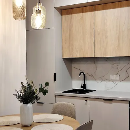 Apartment Easy Rent- Wieniawska 98, Centrum *