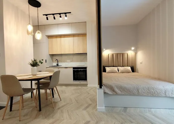 Easy Rent- Wieniawska 98, Centrum 卢布林